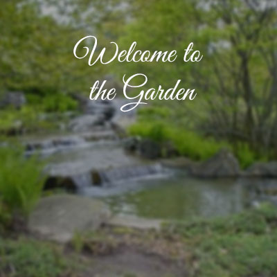 Welcome to the Garden - Guided Meditation 1