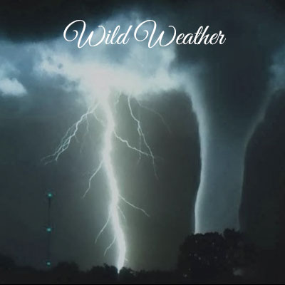 Wild Weather